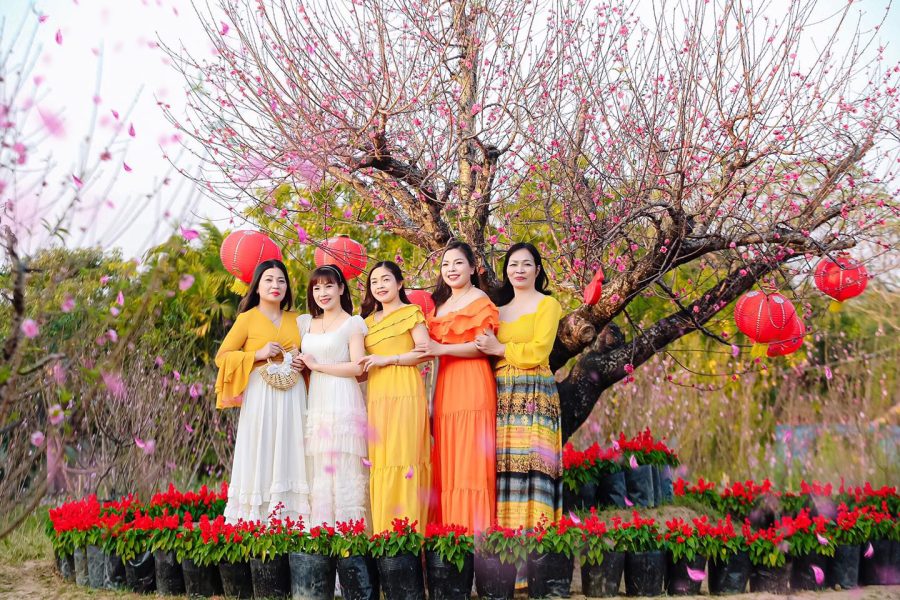 The Dinh Studio