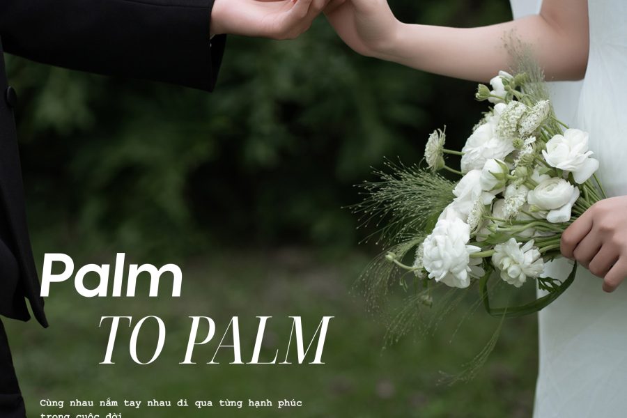 Hani Wedding Studio